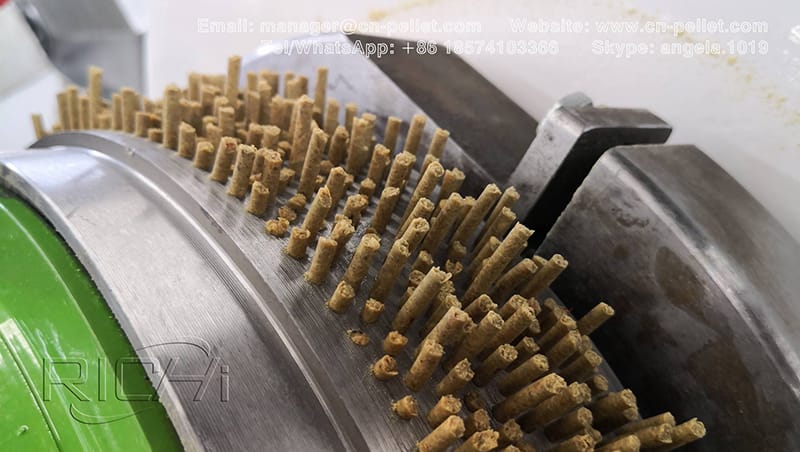Machine automatique de fabrication de granulés d'alimentation pour chiens de poulet de volaille de crevettes de poissons