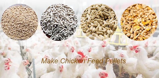 Chicken Feed Pellet Machine Supplier