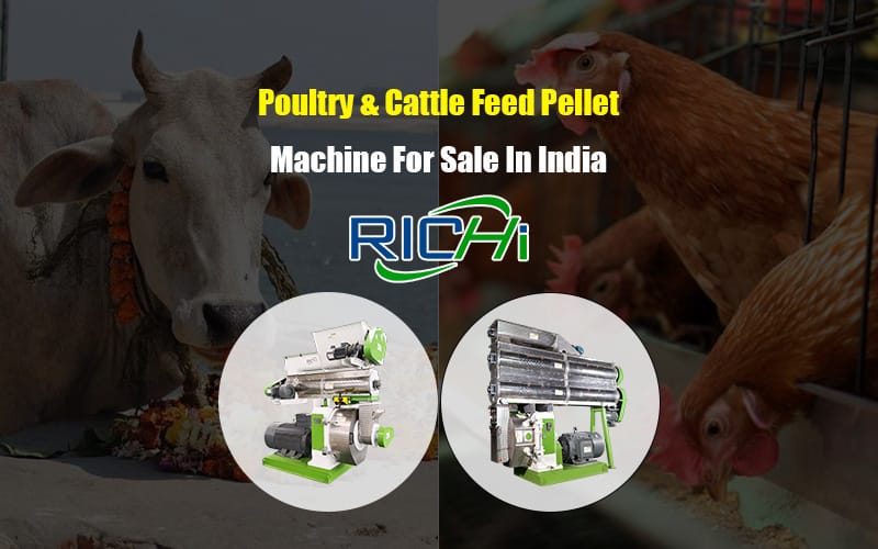 Professional poultry cattle animal feed machinery manufacturers in India