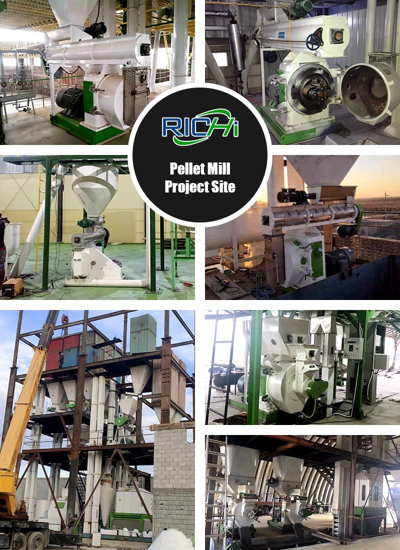 Complete Ce Certificated Pellet Mill For Sale Near Me