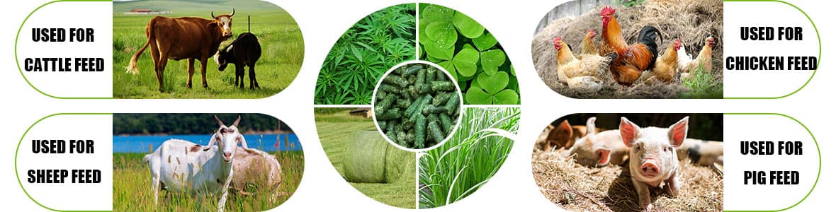 application of pellets produced on grass pellet line