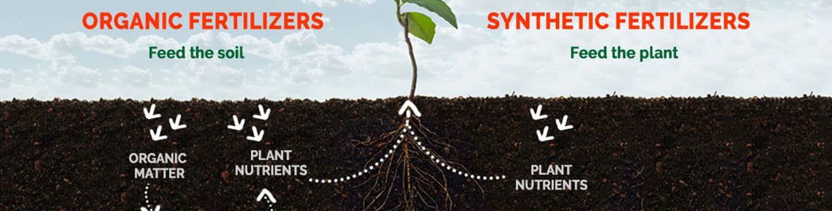 application of pellets produced on organic fertilizer pellet line