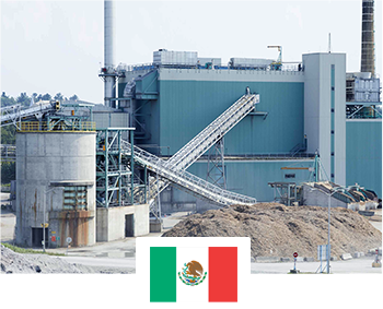 10 T/H Wood Pellet Plant