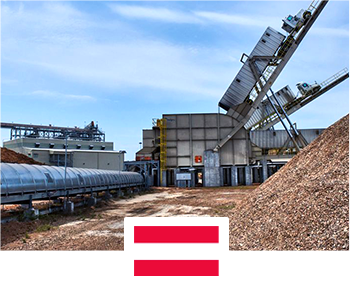 5 T/H Wood Pellet Production Line Project