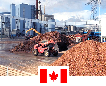 2-3 T/H Wood Pellet Production Line