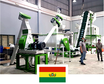 1 T/H Fish Feed Plant Project