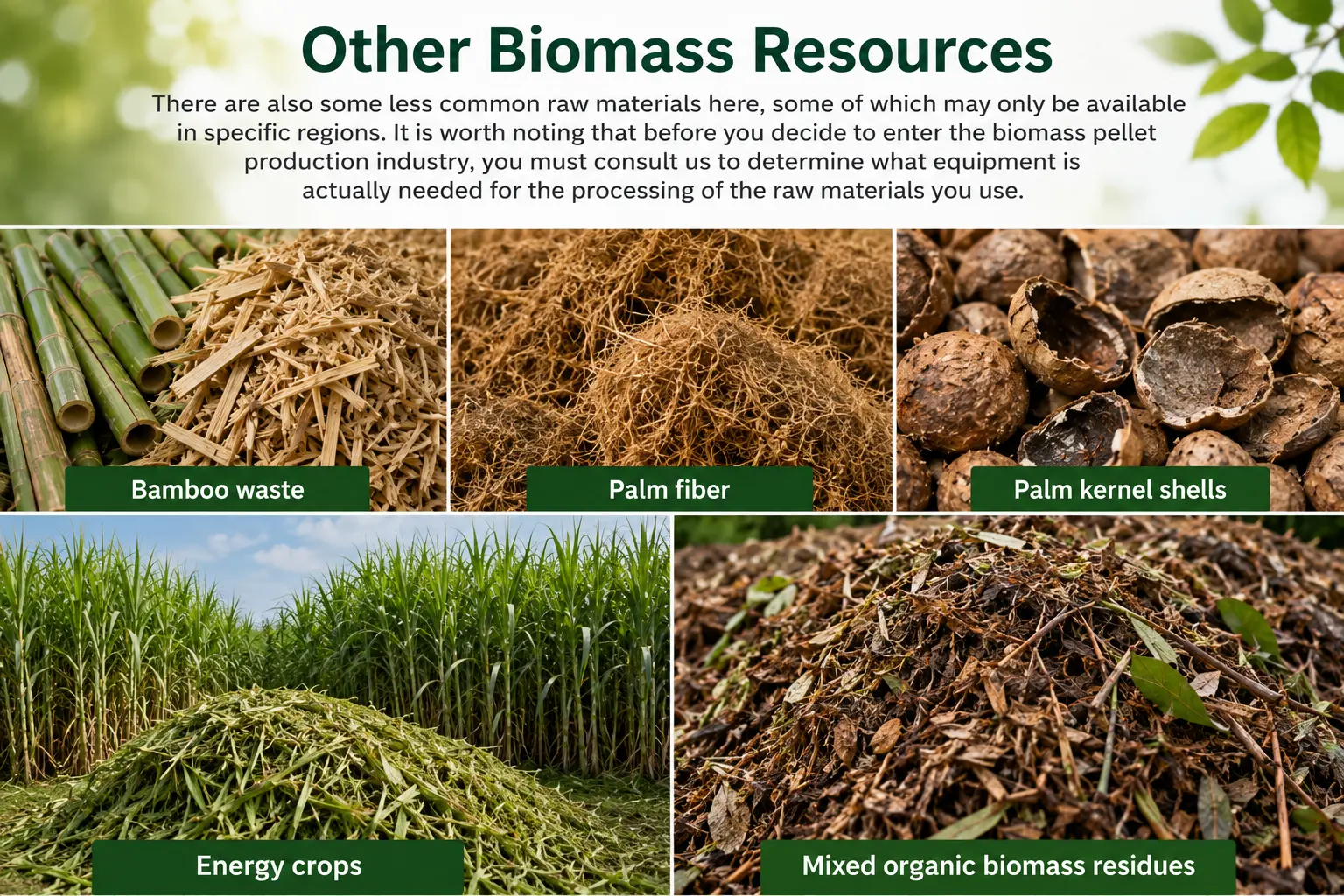 other biomass sources