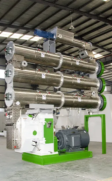 Aquatic feed Pellet Machine