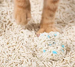 cat litter pellets
