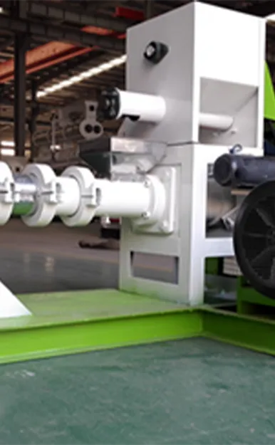 Dry Type Fish Feed Extruder