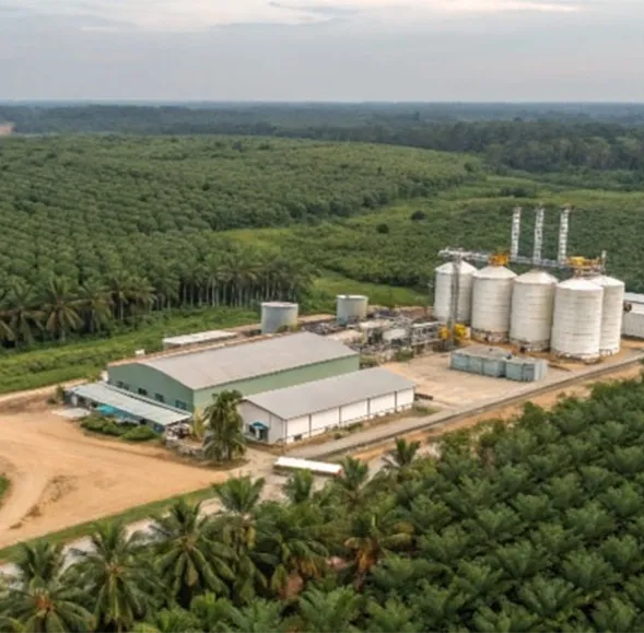 efb pellet plant