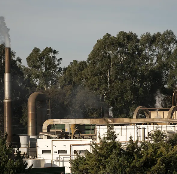 grass pellet production line