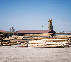 pellet production