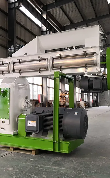 10T/H Ruminant Feed Pellet Machine