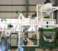 ruminant feed solutions capacity