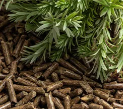pellet quality