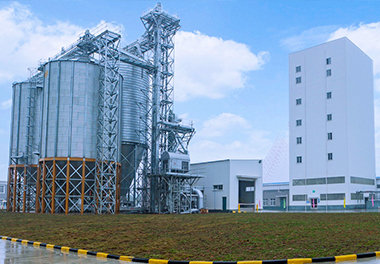 Livestock And Poultry Feed Factory With Annual Output Of 220,000 tons