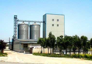 Usine de moulin d'alimentation animale 10-15T / H avec système de silo