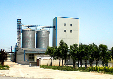 Silo tizimiga ega 10-15T / H hayvon em-xashak zavodi