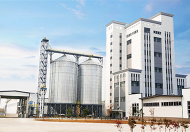 Завод по производству комбикормов с годовой производительностью 180,000 XNUMX тонн