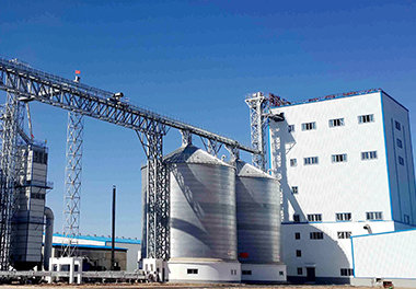 Poultry Feed Manufacturing Plant With An Annual Output Of 150,000 tons 