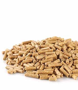 wood pellet