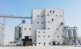 Завод по производству куриных кормов мощностью 10 т / ч в Фергане