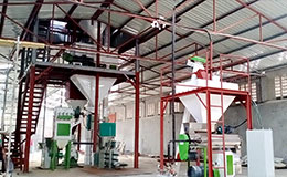 3-5T/H poultry chicken feed pelletizing plant