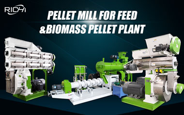 SZLH Series Ring Die Pellet Mills For Pelleting Plant In Uzbekistan