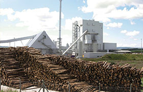 Iceland CE 1tph wood pellet production line