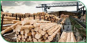 Timber industry