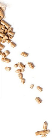 wood pellet