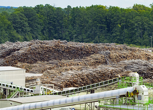 Plan d'affaires pour une usine de granulation de déchets agricoles et forestiers de 20 T/H pour combustible de biomasse