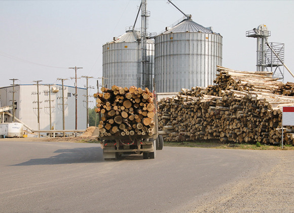 Plan d'affaires pour l'usine de production de granulés de sciure de bois biomasse 4tph