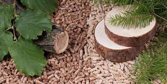 Why Pelletize Biomass Waste?