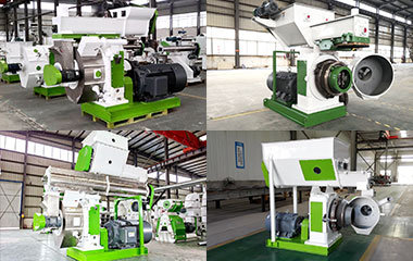 Custom-designed Wood Pellet Machine For Sale