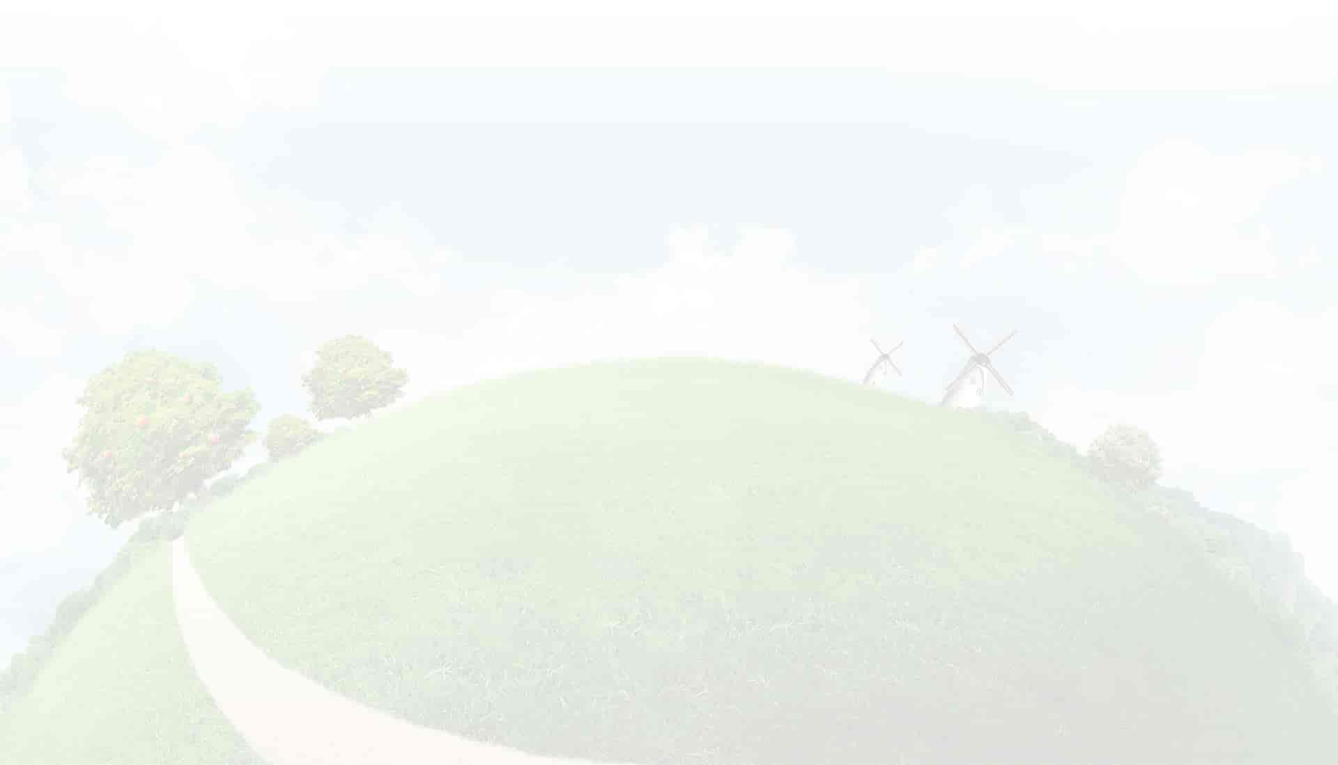 grass background