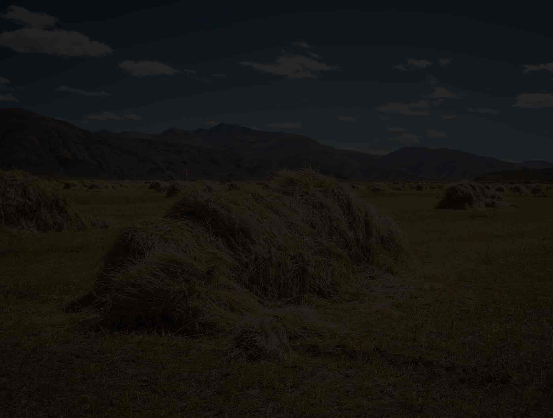 haystack background