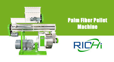 Machine à granulés de fibre de palmier