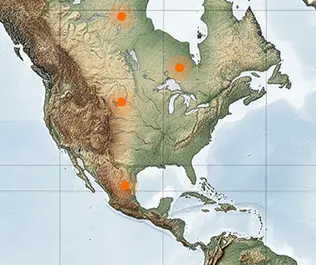 North-America