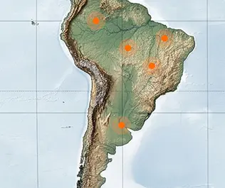 South-America