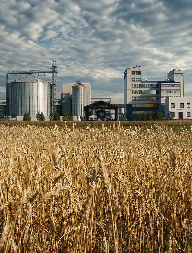 animal feed mill solutions
