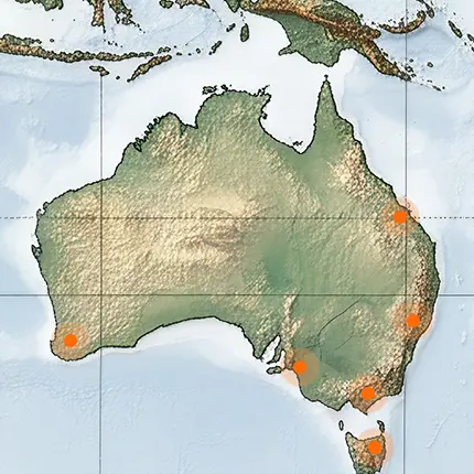 oceania
