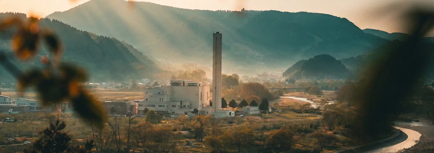 biomass pellet production solution