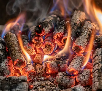 biomass pellets