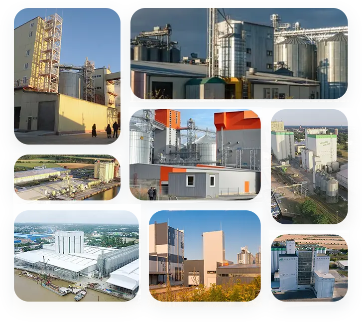 pellet-production-plant-project-in-africa