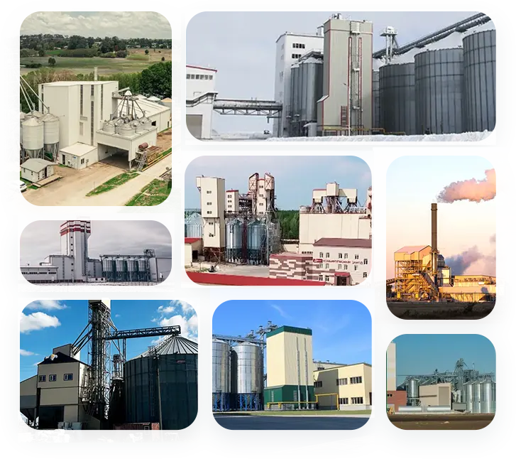 pellet-production-plant-project-in-europe