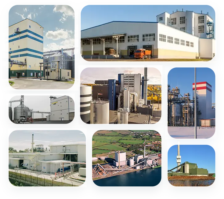 pellet-production-plant-project-in-north-america