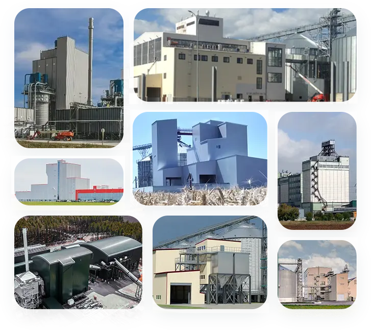 pellet-production-plant-project-in-oceania