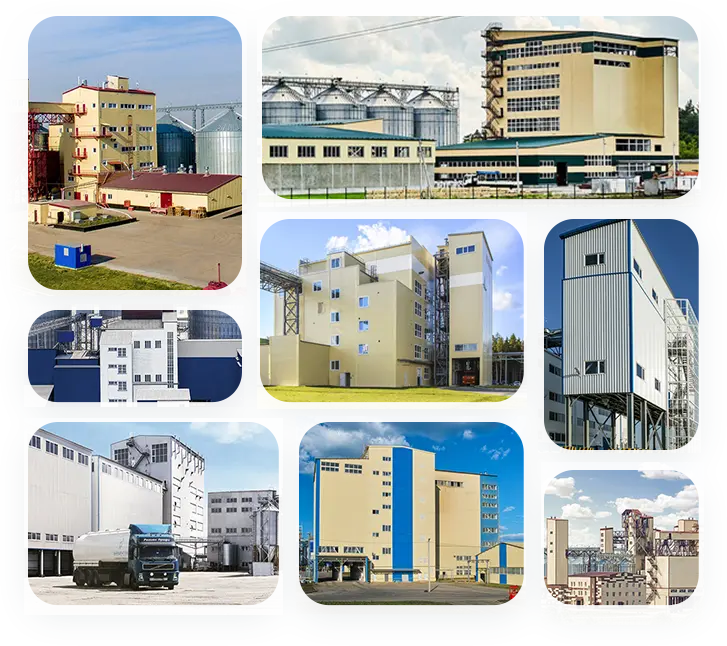 pellet-production-plant-project-in-south-america